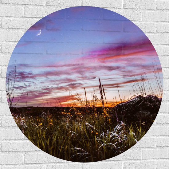 WallClassics - Muursticker Cirkel - Roze Wolken in de Lucht - 100x100 cm Foto op Muursticker