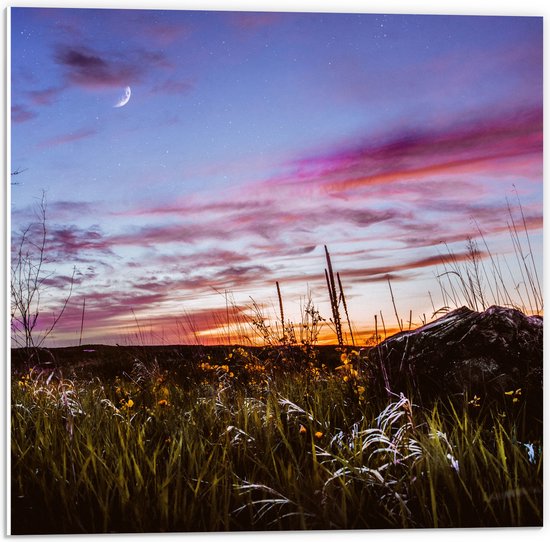 WallClassics - PVC Schuimplaat- Roze Wolken in de Lucht - 50x50 cm Foto op PVC Schuimplaat