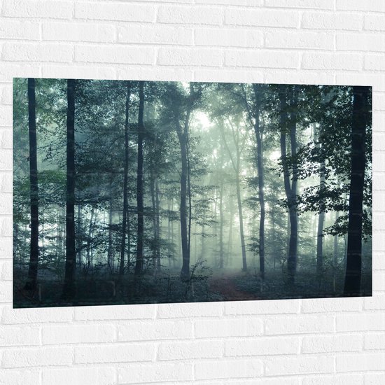 WallClassics - Muursticker - Mist in een Donker Bos - 120x80 cm Foto op Muursticker