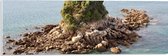 WallClassics - Acrylglas - Mini Eiland van Stenen en Planten in de Zee - 60x20 cm Foto op Acrylglas (Met Ophangsysteem)