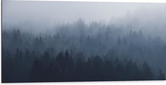 WallClassics - Dibond - Bos in de Mist - 100x50 cm Foto op Aluminium (Wanddecoratie van metaal)