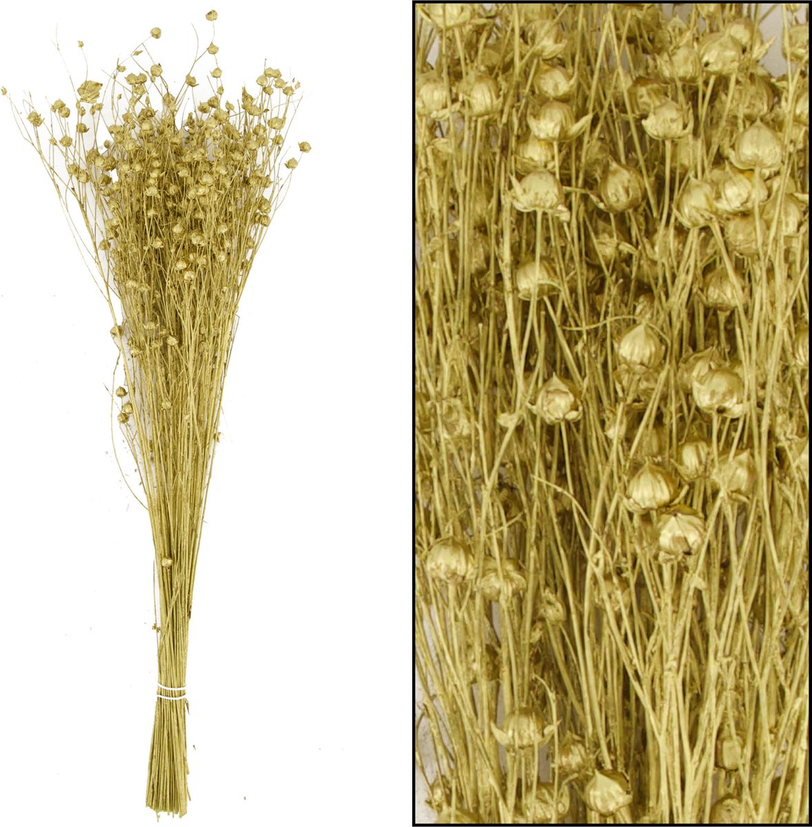 Cozy Ibiza-Droogboeket- vlas- goud- 2 boeketten