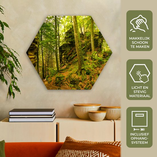 Décoration murale Hexagone - Décoration murale Plastique - Peinture Hexagone - Arbres - Pierre - Forêt - Nature - Plantes - 75x65 cm