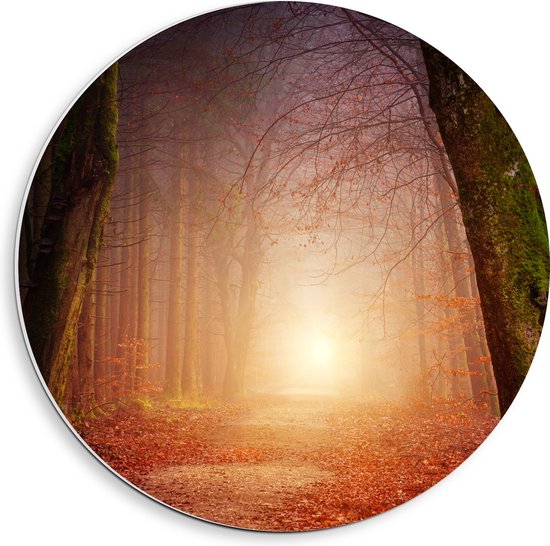 WallClassics - Cercle mural en panneau de mousse PVC - Lumière au bout d'un chemin forestier brumeux - Photo 40x40 cm sur cercle mural (avec système d'accrochage)