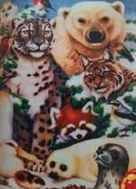 Denza - Diamond painting dieren 40 x 50 cm volledige bedrukking ronde steentjes direct leverbaar - ijsbeer - tijger - vos - zeehond