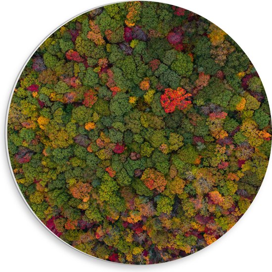 WallClassics - PVC Schuimplaat Muurcirkel - Rood Groen en Gele Bomen in het Bos vanuit de Lucht - 30x30 cm Foto op Muurcirkel (met ophangsysteem)