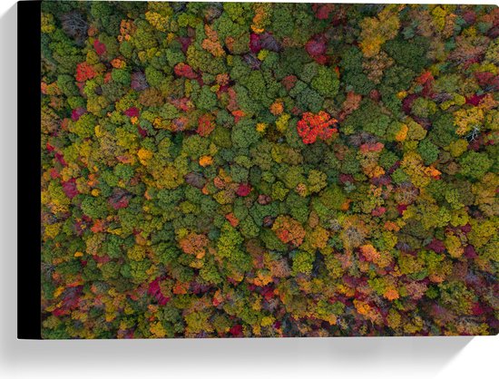 WallClassics - Canvas  - Rood Groen en Gele Bomen in het Bos vanuit de Lucht - 40x30 cm Foto op Canvas Schilderij (Wanddecoratie op Canvas)