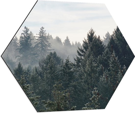 WallClassics - Dibond Hexagon - Boomtoppen van het Bos in de Winter - 70x60.9 cm Foto op Hexagon (Met Ophangsysteem)