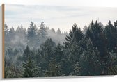 WallClassics - Hout - Boomtoppen van het Bos in de Winter - 105x70 cm - 12 mm dik - Foto op Hout (Met Ophangsysteem)