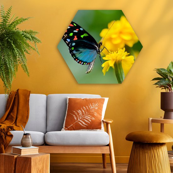 Hexagon wanddecoratie - Kunststof Wanddecoratie - Hexagon Schilderij - Vlinder - Bloem - Dier - Insect - 75x65 cm