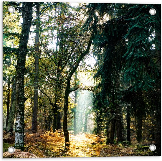 Foto: Wallclassics tuinposter lichtplek tussen bomen 50x50 cm foto op tuinposter wanddecoratie voor buiten en binnen 