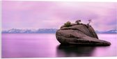 WallClassics - Verre Acrylique - Rocher dans Water Violette - 100x50 cm Photo sur Verre Acrylique (avec système de suspension)