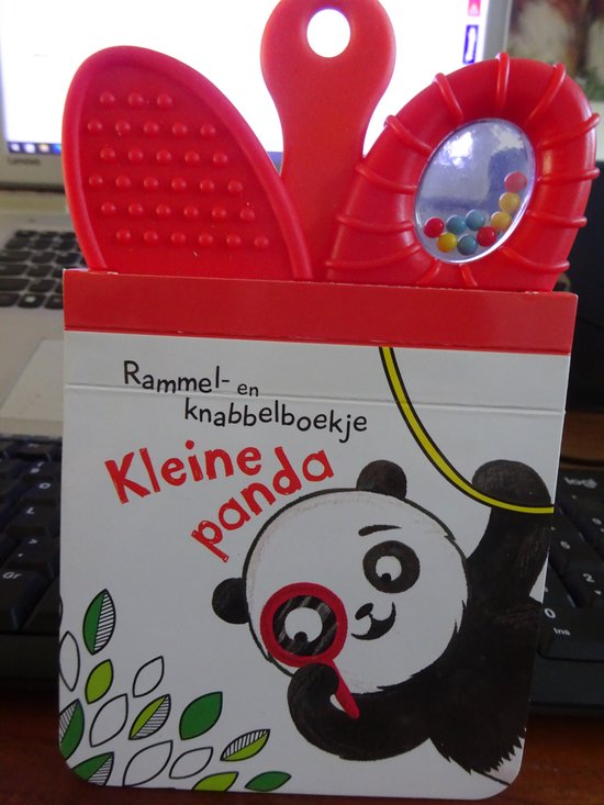 Baby Rattle Book en plaatjes 9789463342629 Boeken