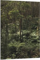 WallClassics - Drapeau - Jungle Verte - 80x120 cm Photo sur Drapeau Polyester
