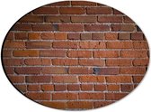 WallClassics - Dibond Ovaal - Stenen Muur Bruin - 28x21 cm Foto op Ovaal (Met Ophangsysteem)