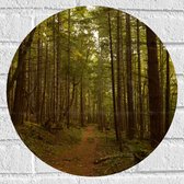 WallClassics - Muursticker Cercle - Forêt avec sentier pédestre - 40x40 cm Photo sur Muursticker