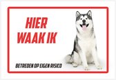 Bord | Waakbord | "Hier waak ik" | 30 x 20 cm | Malamute | Alaska Malamute | Husky | Poolhond | Gevaarlijke hond | Waakhond | Hond | Dog | Chien | Betreden op eigen risico | Polystyreen | Rechthoek | Witte achtergrond