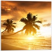 WallClassics - PVC Schuimplaat - Palmbomen op het Strand bij Zonsondergang - 50x50 cm Foto op PVC Schuimplaat (Met Ophangsysteem)