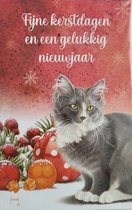 8 dubbele Kerstkaarten met enveloppen - Kat met rode kerstversiering van Francien - franciens katten kaart kerstkaart