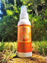 Solarielle Glow Spray - Magical Aura Chakra Spray - In the Light of the Goddess by Lieve Volcke - 100 ml