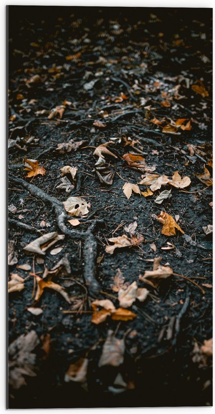 WallClassics - Dibond - Feuilles et branches d'automne - Photo sur aluminium 50x100 cm (avec système de suspension)