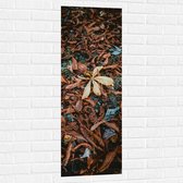 WallClassics - Muursticker - Bruine Herfstbladeren - 40x120 cm Foto op Muursticker