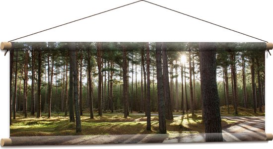 WallClassics - Affiche Textile - Sentiers de randonnée dans la Forêt - 90x30 cm Photo sur Textile