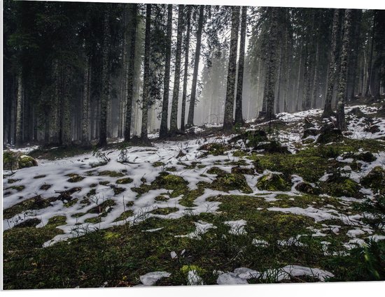 WallClassics - Panneau en mousse PVC - Arbres étroits dans une forêt avec de petits morceaux de neige - Photo 100x75 cm sur panneau en mousse PVC (avec système de suspension)