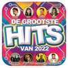 Various Artists - De Grootste Hits Van 2022 (CD)