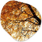 Organische Wanddecoratie - Kunststof Muurdecoratie- Organisch Schilderij - Boom - Herfstbladeren - Seizoenen - Landelijk- 90x90 cm - Organische spiegel vorm op kunststof