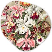 Organische Wanddecoratie - Kunststof Muurdecoratie- Organisch Schilderij - Bloemen - Ernst Haeckel - Vintage - Orchidee- 90x90 cm - Organische spiegel vorm op kunststof