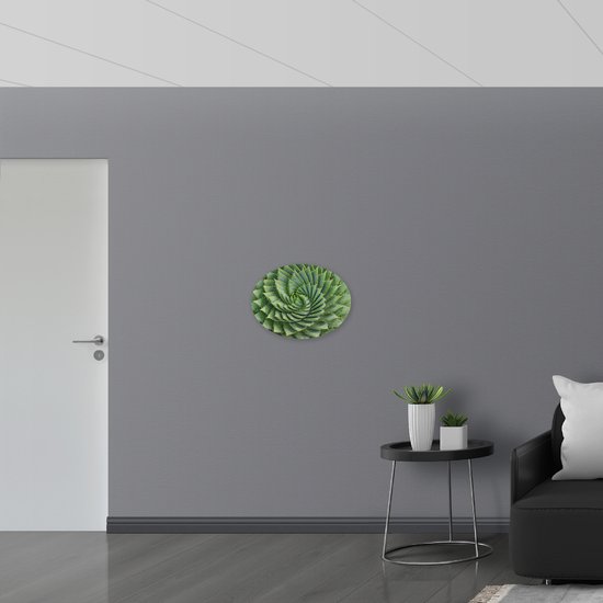 Dibond Ovaal - Spiraalvormige Cactus - 56x42 cm Foto op Ovaal (Met Ophangsysteem)