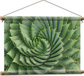 WallClassics - Textielposter - Spiraalvormige Cactus - 60x40 cm Foto op Textiel