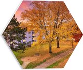 WallClassics - PVC Schuimplaat Hexagon  - Herfstbomen in Dorpje - 30x26.1 cm Foto op Hexagon (Met Ophangsysteem)