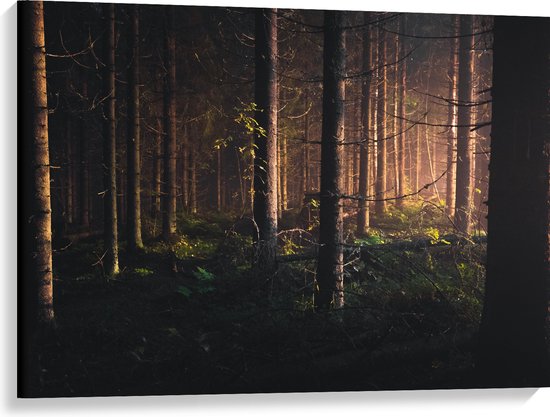 WallClassics - Toile - Forêt au crépuscule du coucher de soleil - 100x75 cm Photo sur toile (Décoration murale sur toile)