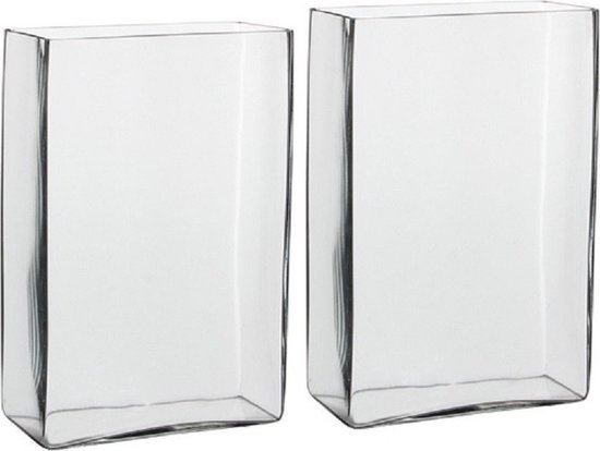 2x Hoge vaas transparant glas 20 x 10 x 30 cm - Accubakken - Glazen vazen - Woonaccessoires