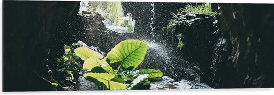 WallClassics - Dibond - Groen Plantje Achter Stromend Water in een Grot - 120x40 cm Foto op Aluminium (Wanddecoratie van metaal)