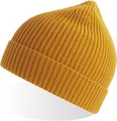 Atlantis ' Andy Beanie' Jaune