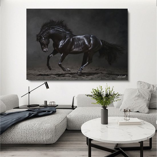 Luxe Plexiglas Schilderij Black Horse | 75x100 | Woonkamer | Slaapkamer | Kantoor | Muziek | Design | Art | Modern | ** 5MM DIK**