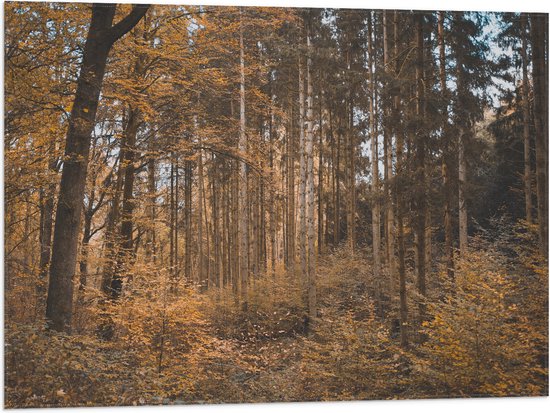 WallClassics - Drapeau - Forêt en Automne - 80x60 cm Photo sur Drapeau Polyester