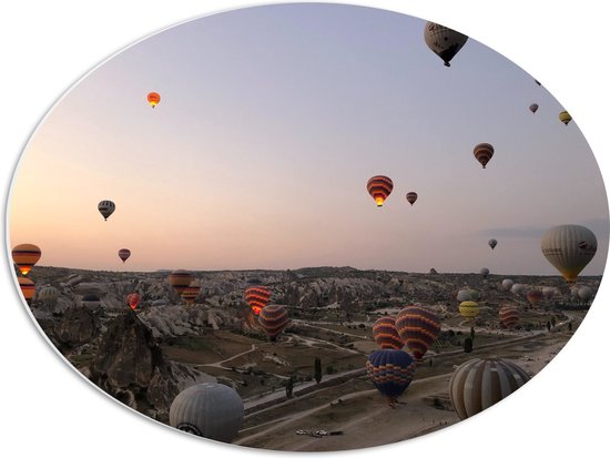 WallClassics - PVC Schuimplaat Ovaal - Luchtballonnen boven Bergachtig Landschap - 56x42 cm Foto op Ovaal  (Met Ophangsysteem)
