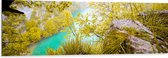 WallClassics - Dibond - Bovenop een Berg Uitkijkend over een Groen Meer - 150x50 cm Foto op Aluminium (Wanddecoratie van metaal)