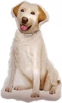 Labrador grote folie ballon - hond - labrador - retriever - dier - ballon - hondenballon - huisdier