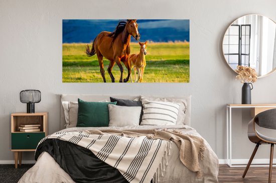 Poster enfants - Décoration murale filles - Paarden - Herbe - Animaux - Paysage - Nature - Poster cheval - 150x75 cm - Décoration chambre enfant