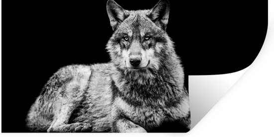 Stickers muraux - Film autocollant - Animaux sauvages - Loup - Zwart - Wit - 160x80 cm - Film adhésif - Stickers muraux Chambre d'enfant - Papier peint autocollant