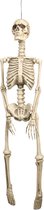 "Halloween Skeleton Hanging Ornament - Article de décoration de fête - Taille unique"