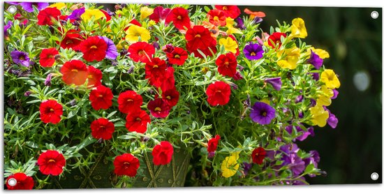 WallClassics - Tuinposter – Bloemenmadjes met Rode, Paarse en Gele Bloemen - 100x50 cm Foto op Tuinposter  (wanddecoratie voor buiten en binnen)