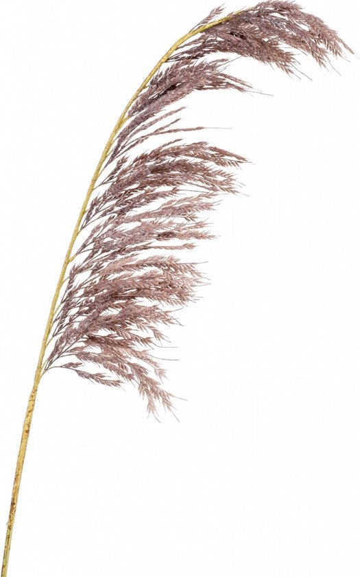 Branche artificielle Herbe de la pampa 125 cm violet | bol.com