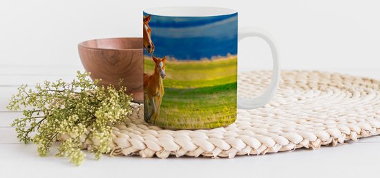 Mug - Mug à café - Paarden - Herbe - Animaux - Paysage - Nature - Mugs - 350 ML - Tasse - Tasses à café - Mug à thé - Décoration Sinterklaas - Cadeaux pour enfants - Chaussures cadeaux Sinterklaas