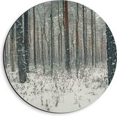 WallClassics - Dibond Muurcirkel - Vallende Sneeuwvlokken in het Bos - 40x40 cm Foto op Aluminium Muurcirkel (met ophangsysteem)